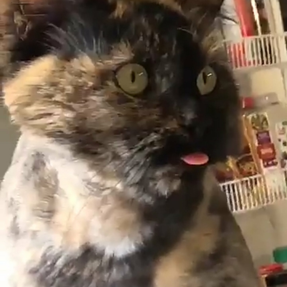 Meet your Posher, Robin